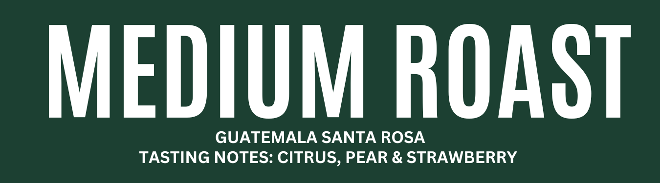 Guatemala Santa Rosa - Medium Roast - 340g
