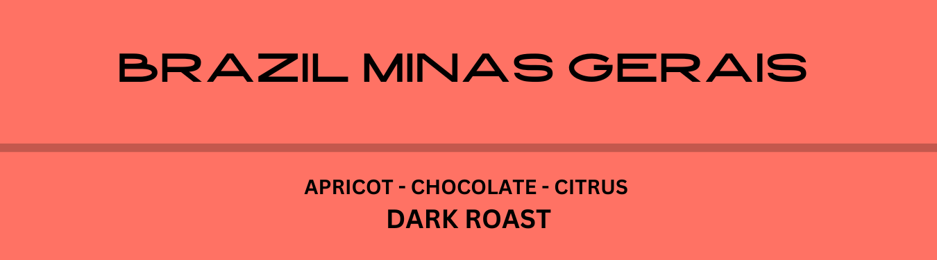 Brazil Minas Gerais - Dark Roast - 340g