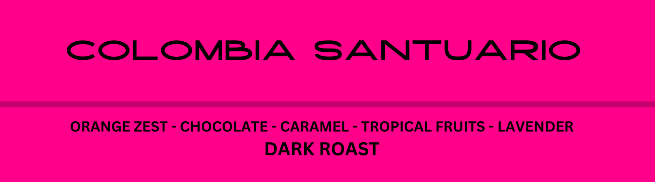 Colombia Santuario - Dark Roast - 340g